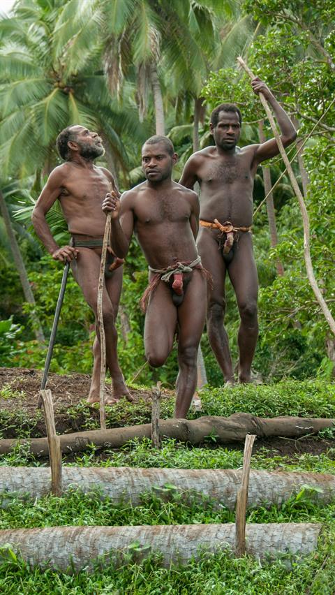 Männer von Pentecoast in Vanuatu mit ihrem  traditionellen Kostüm namens "Namba" .